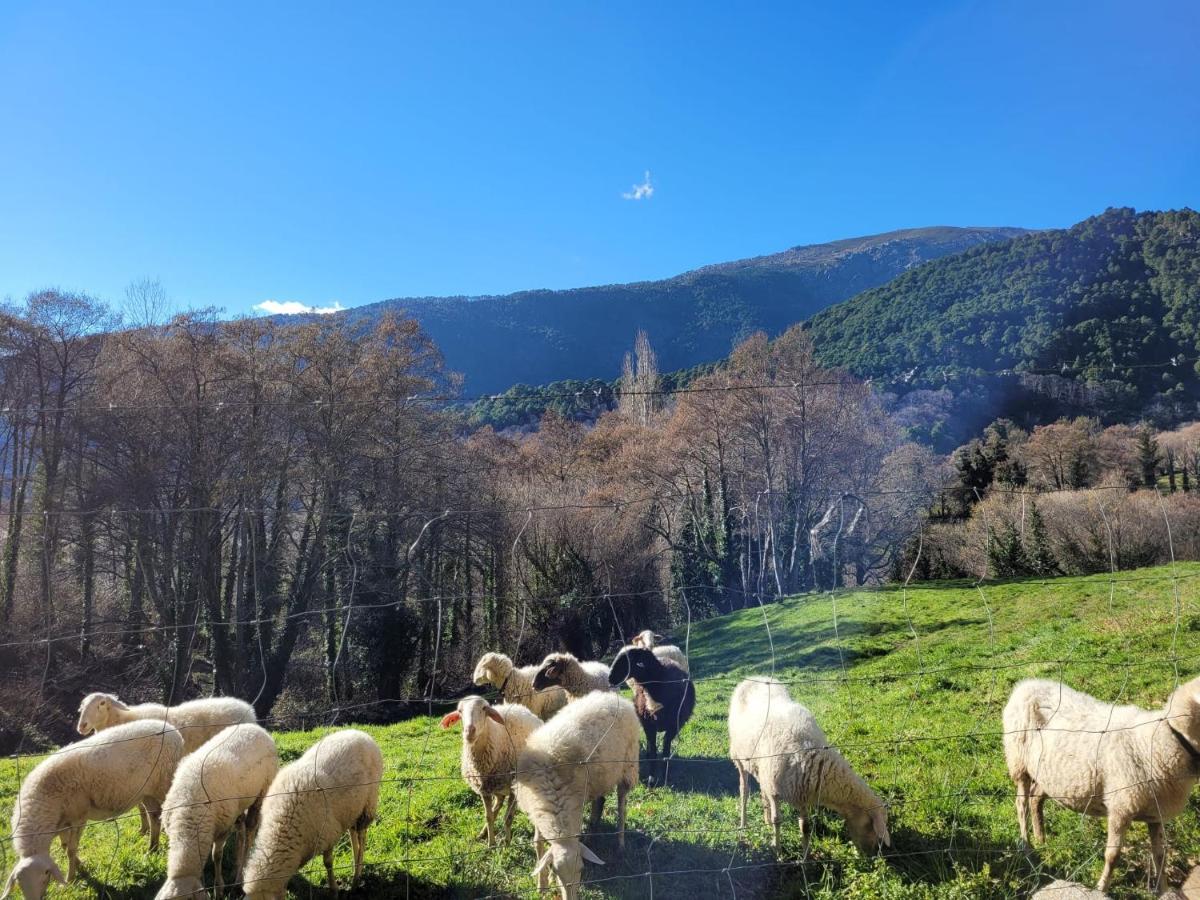 Pensjonat El Atico De Mijares Zewnętrze zdjęcie